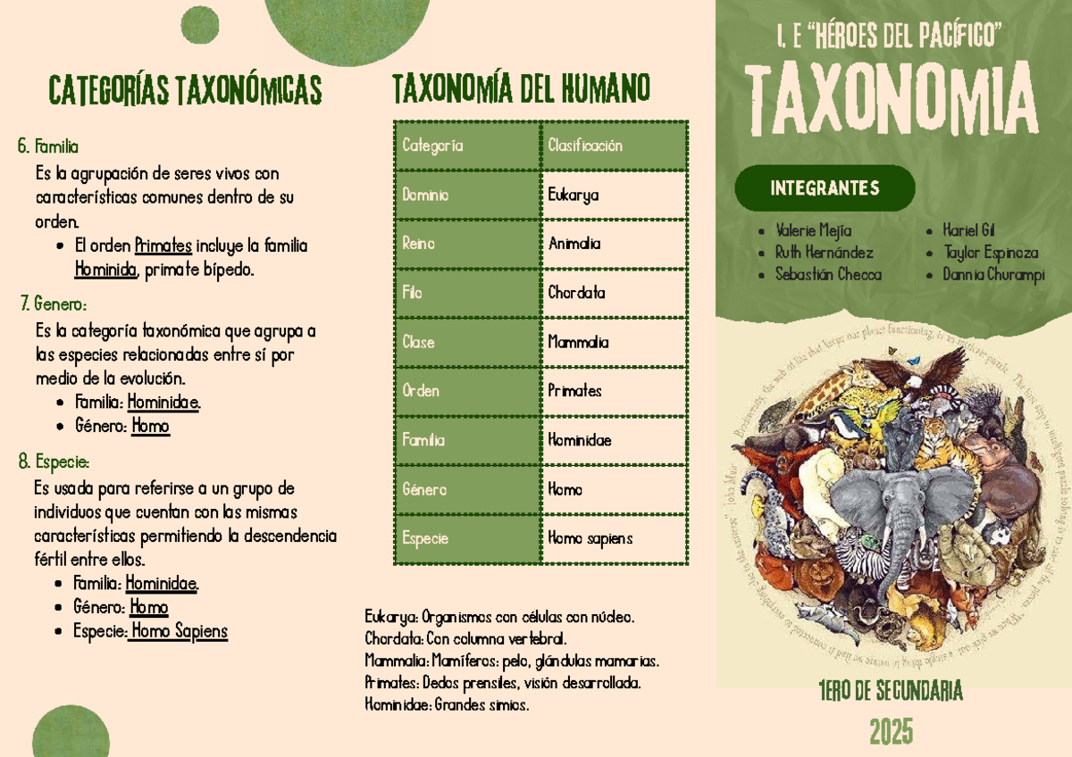 Taxonomía General del Ser Humano: Clasificación y Categorías 1ero Sec ...