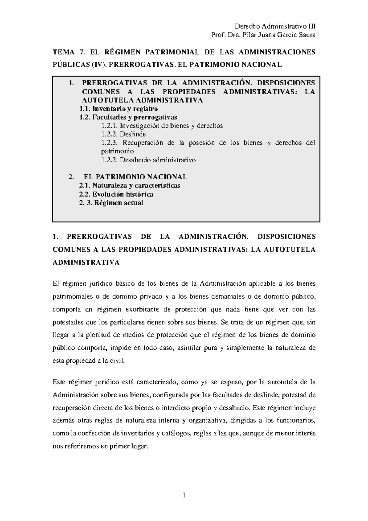 tema-7-el-r-gimen-patrimonial-aapp-iv-prof-dra-pilar-juana-garc-a