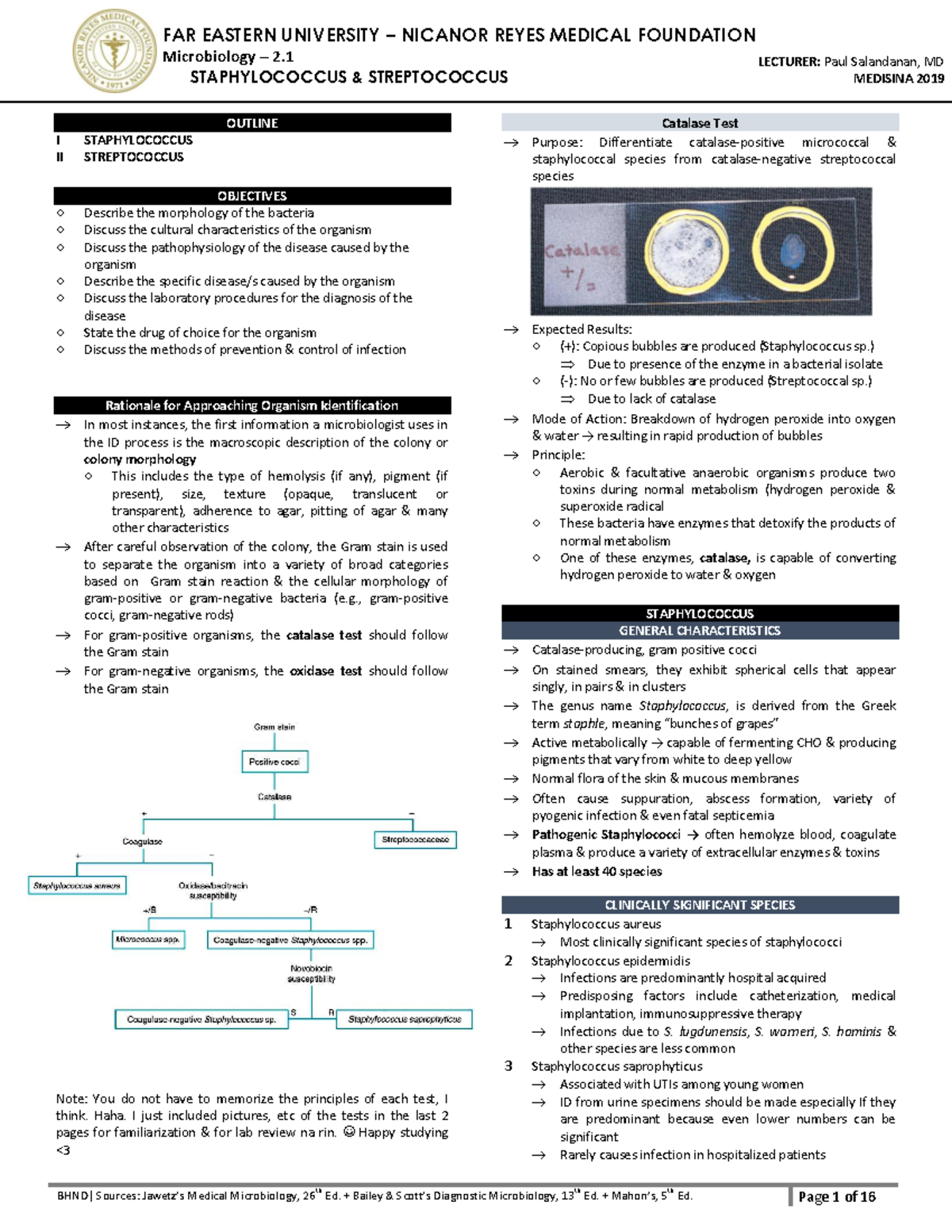 FAR EASTERN UNIVERSITY NICANOR REYES MEDICAL FOUNDATION Microbiology 2. ...