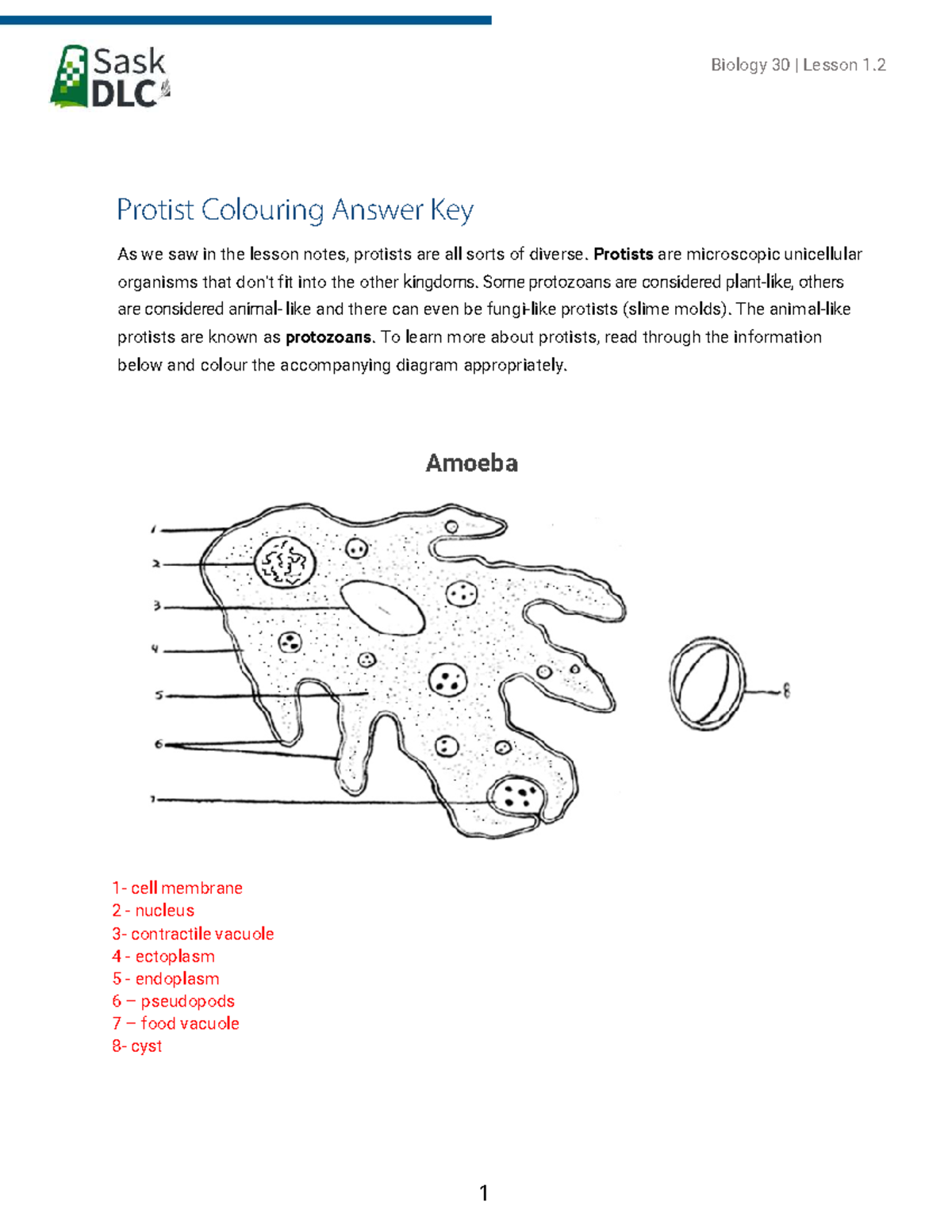 Biology 30 | Lesson 1.2: Protist Colouring Answer Key - Studocu