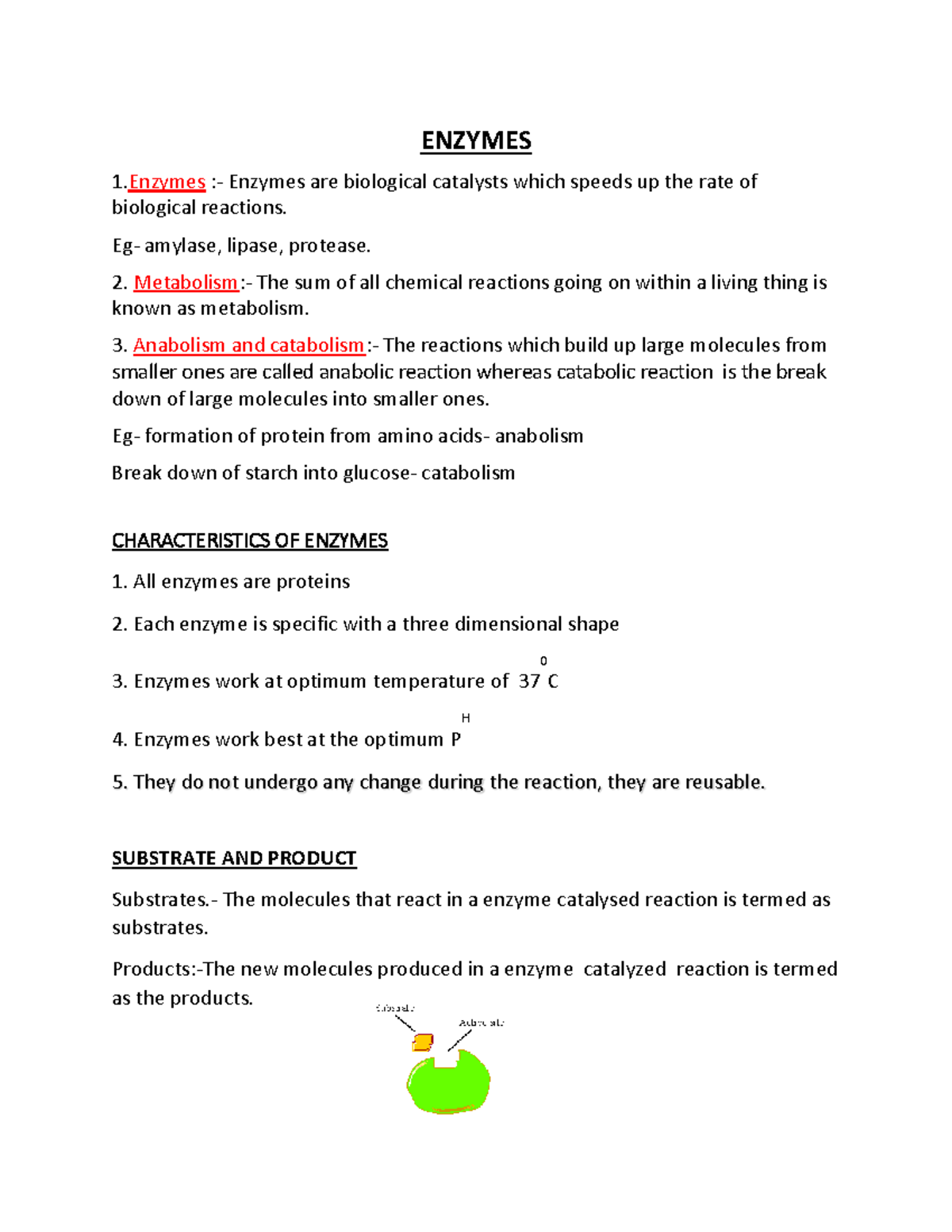 Enzymes Lecture Notes: Key Concepts and Characteristics - Studocu