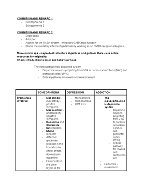 BRAIN AND BEHAVIOUR NOTES: WEEK 2 - Brain Development Stages and ...