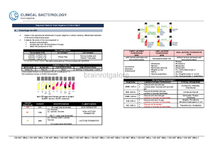 RBC Anomalies AND Inclusions with their Associated Diseases ...