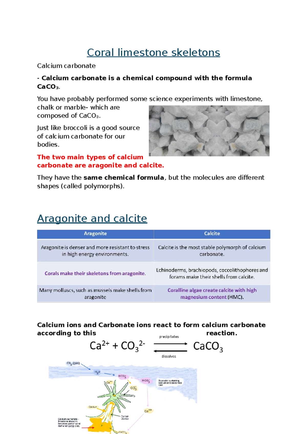 Coral Limestone Skeletons: Understanding CaCO3 Formation and Types ...