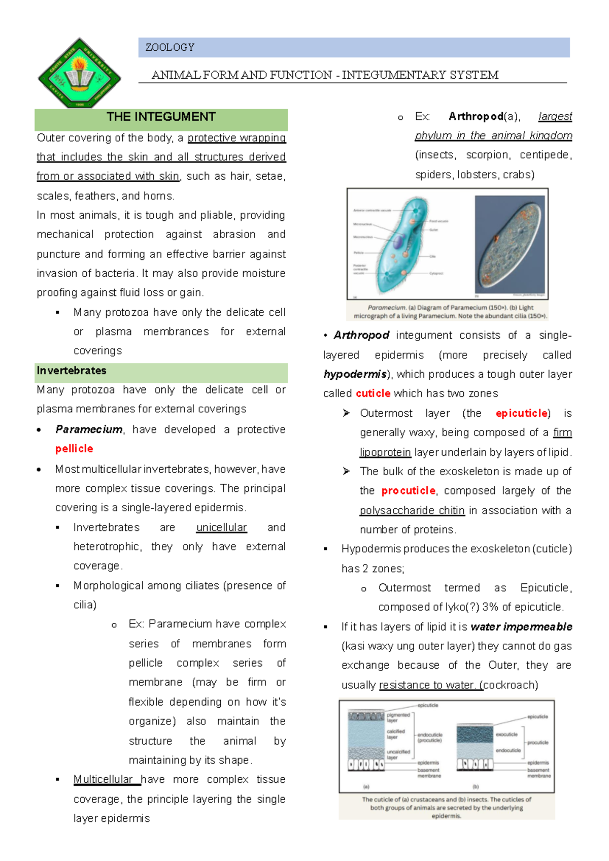 ZOOL Integumentary system - ANIMAL FORM AND FUNCTION - INTEGUMENTARY ...