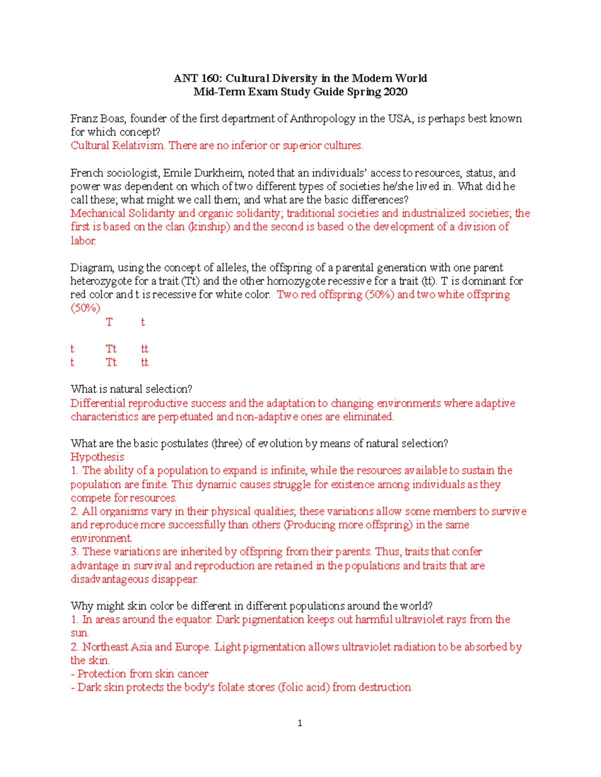 ANT 160 Midterm Exam Study Guide: Cultural Diversity Insights - Studocu