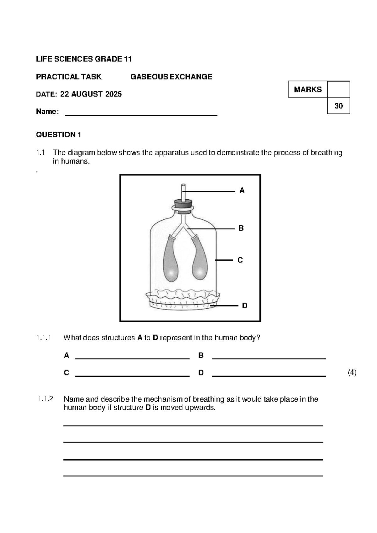 life-sciences-gr-11-term-3-practical-gaseous-exchange-task-studocu