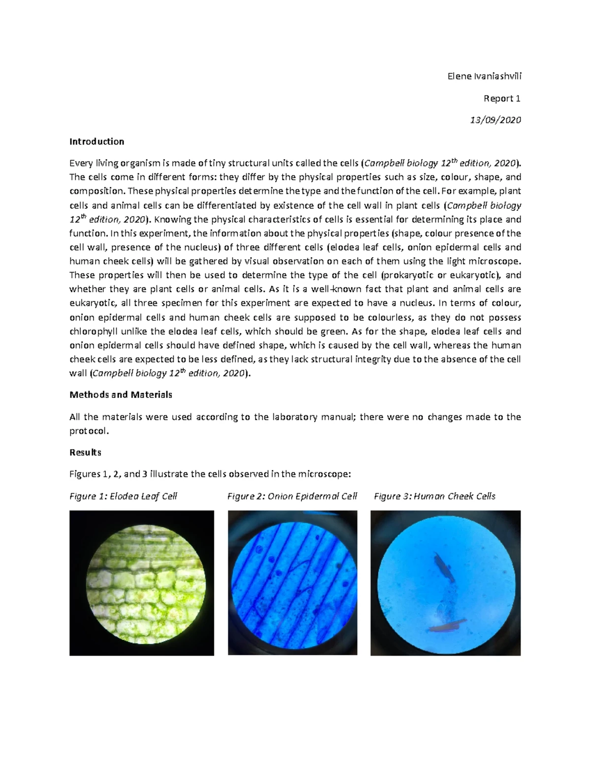 AP Biology Genetics Practice Problems and Case Studies - Studocu