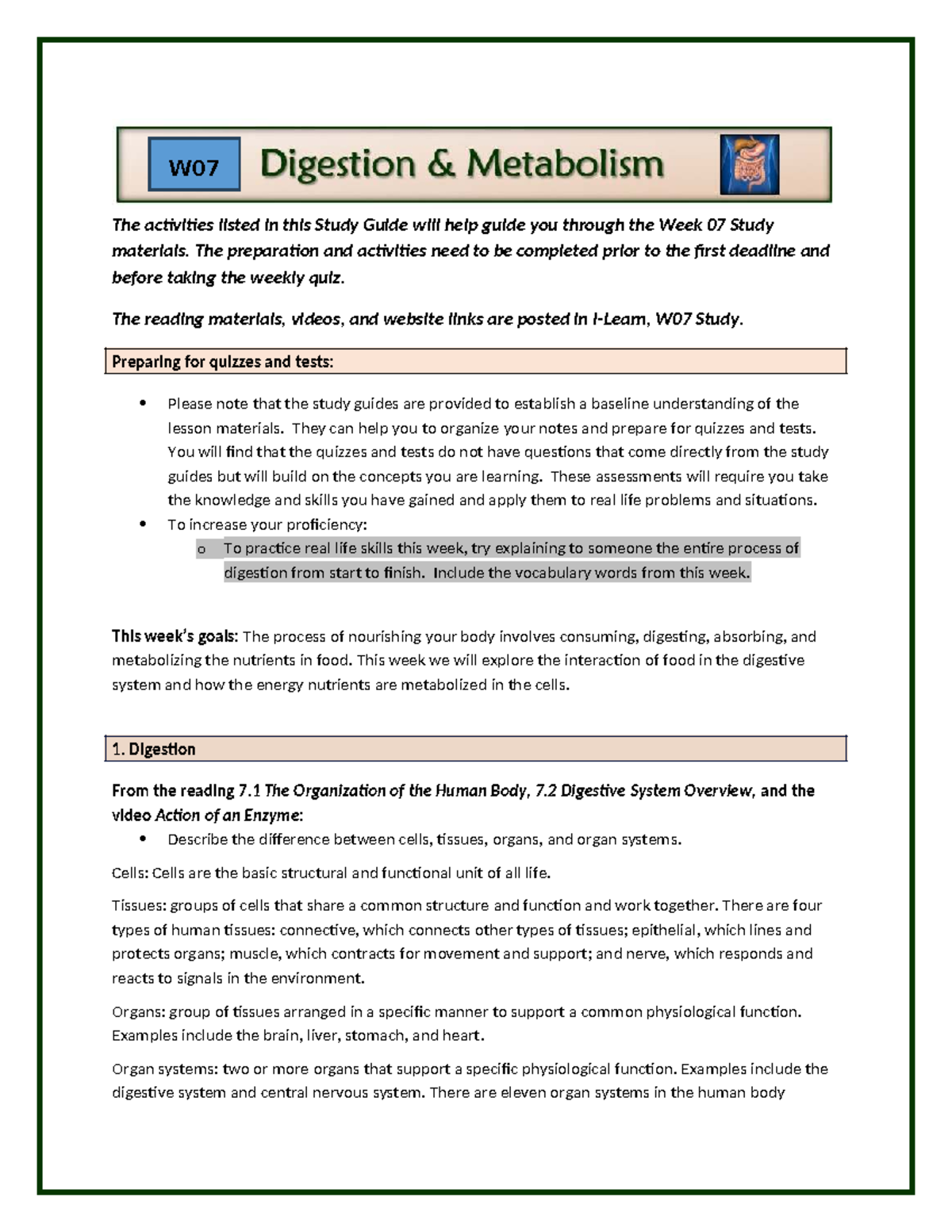 W07 Study Guide: Overview of Digestion, Absorption & Metabolism - Studocu