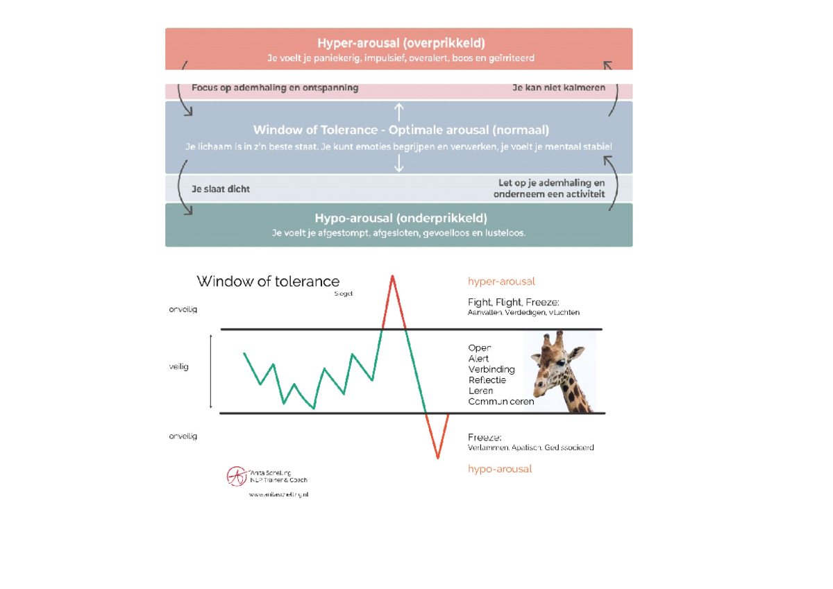 Understanding the Window of Tolerance Concept in Psychology - Studeersnel