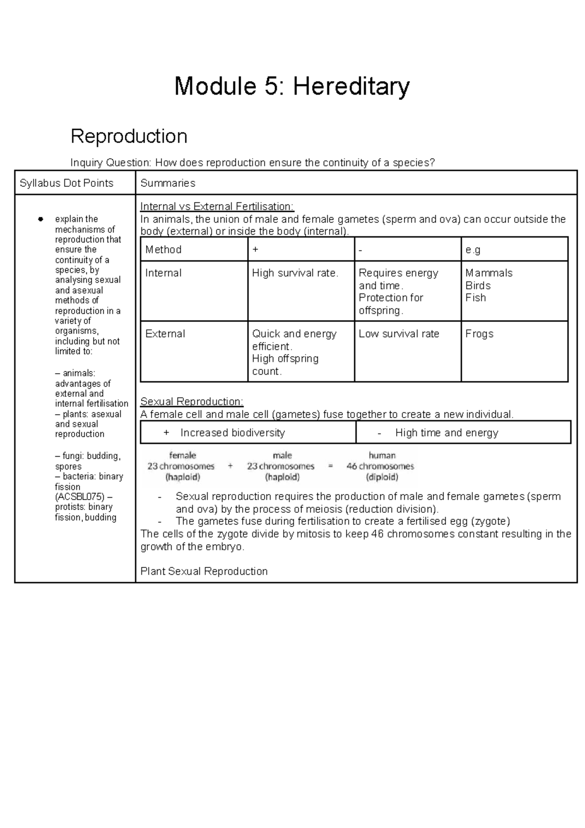 Biology Notes Year 12: Reproduction, DNA Replication & Polypeptide ...