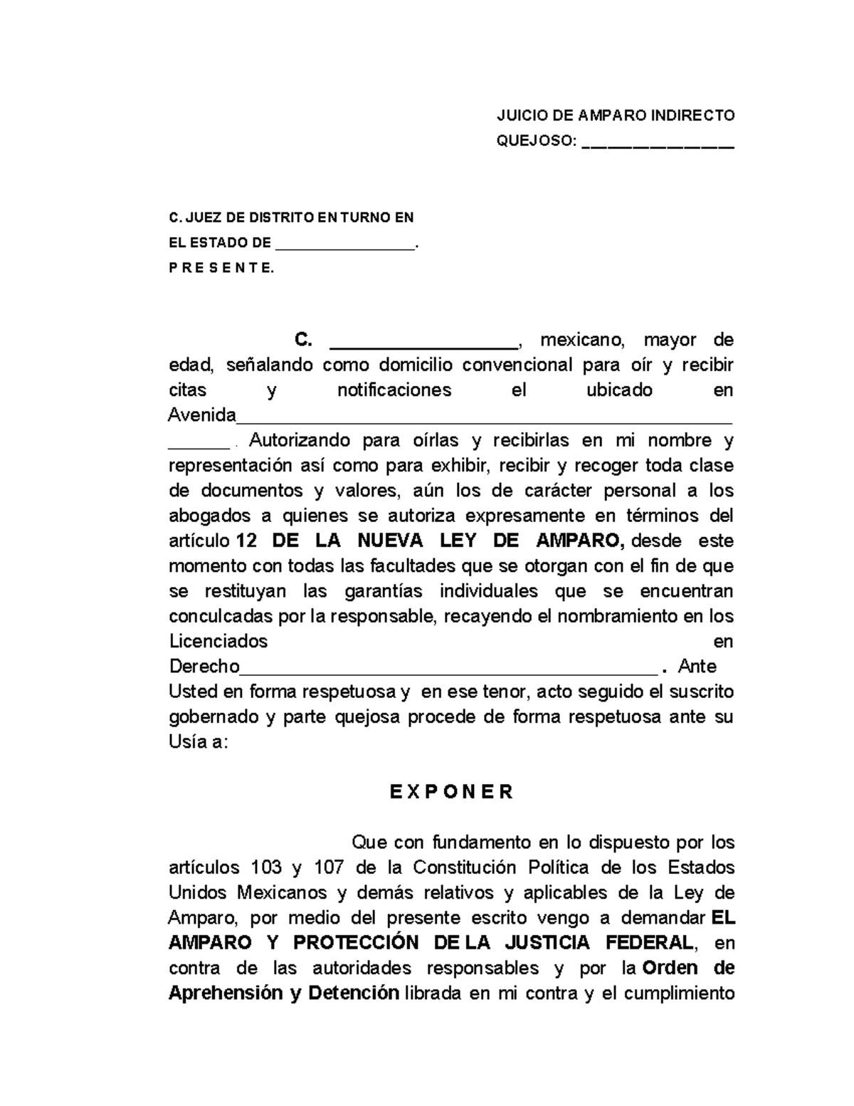 Amparo indirecto penal: demanda de protección de la justicia federal ...