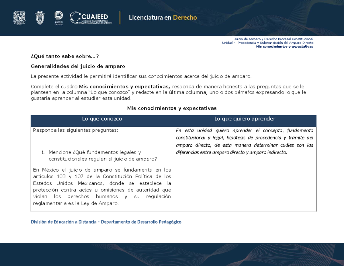 Juicio de Amparo y Derecho Procesal Constitucional U4: Expectativas y ...