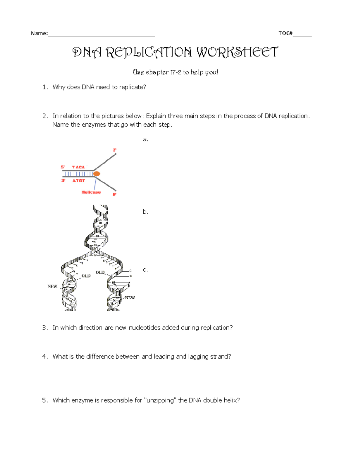 DNA Replication Worksheet - GP13: Key Concepts and Enzymes Explained ...