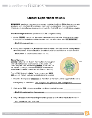 Mitosis and Meiosis Review Key - Mitosis and Meiosis Study Guide Write ...