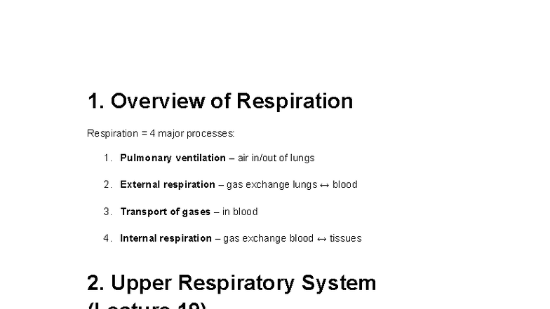Respiration Overview: Lectures 19-21 (Part 1-3) Notes - Studocu