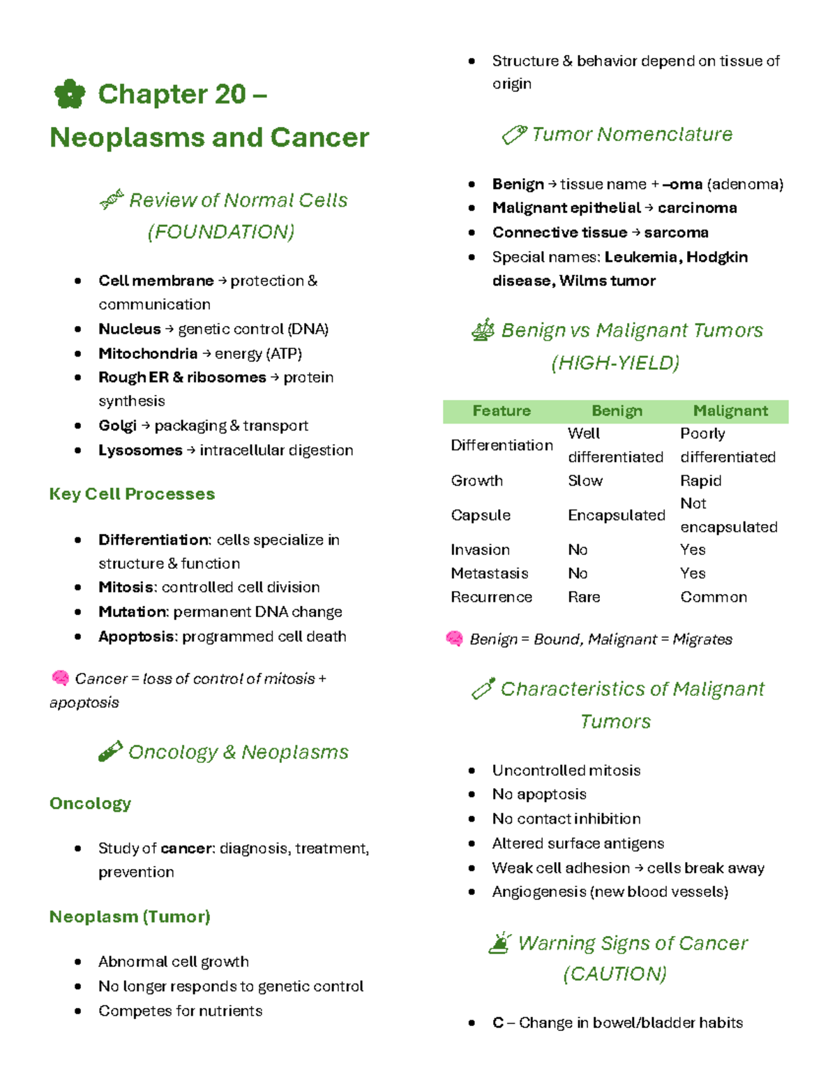 Chapter 20 Neoplasms and Cancer Overview (FOUNDATION) - Studocu