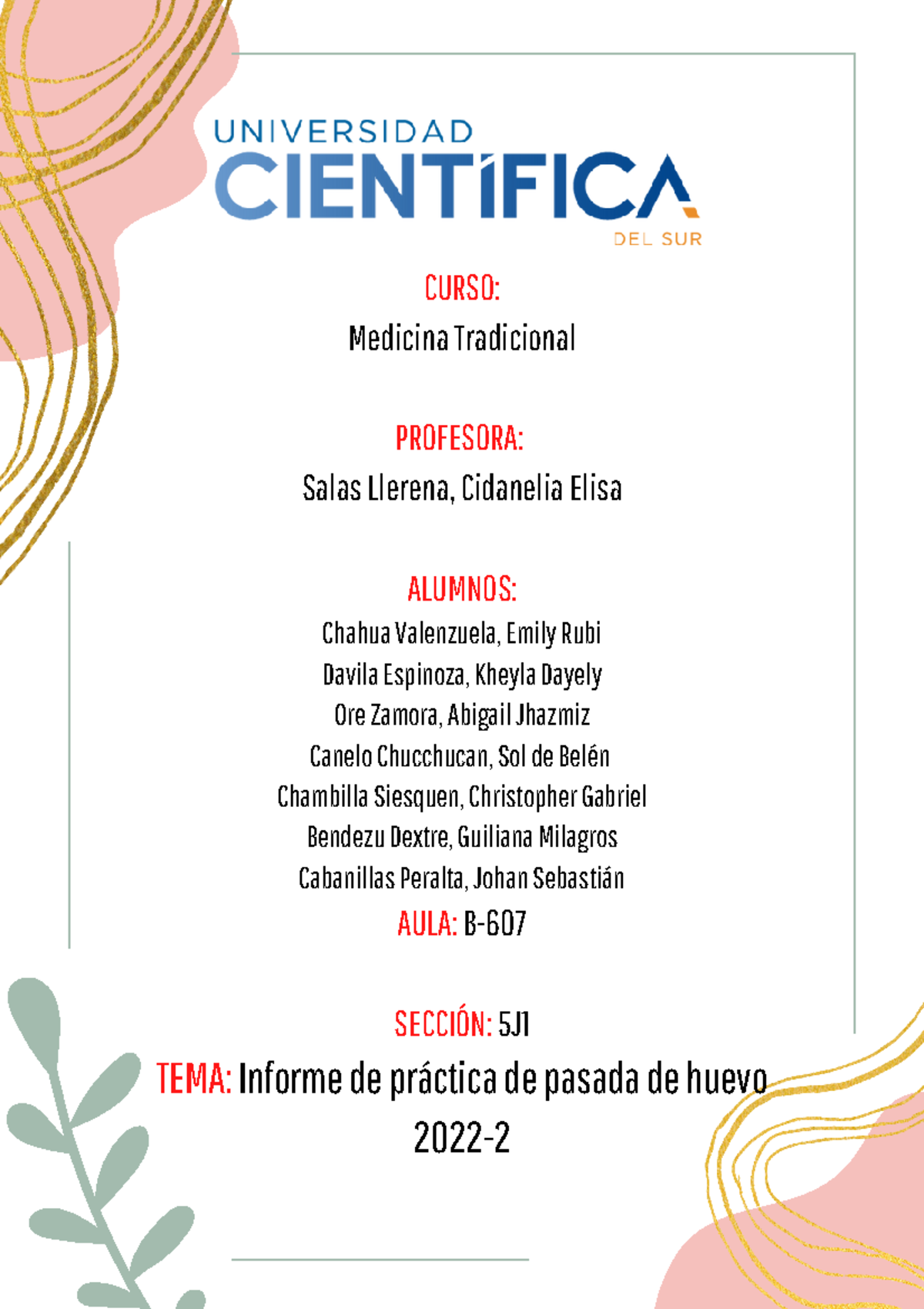 Informe de Práctica - Medicina Tradicional MED 2022 - Document Preview