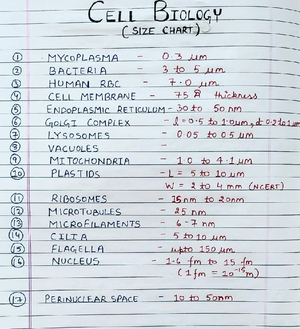 C 101: Meiosis and Mitosis Overview - Study Notes for Exam - Studocu