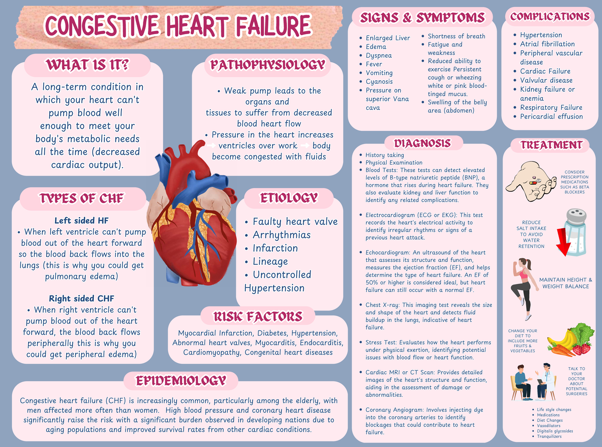 CHF Pathophysiology: Understanding Congestive Heart Failure - Studocu