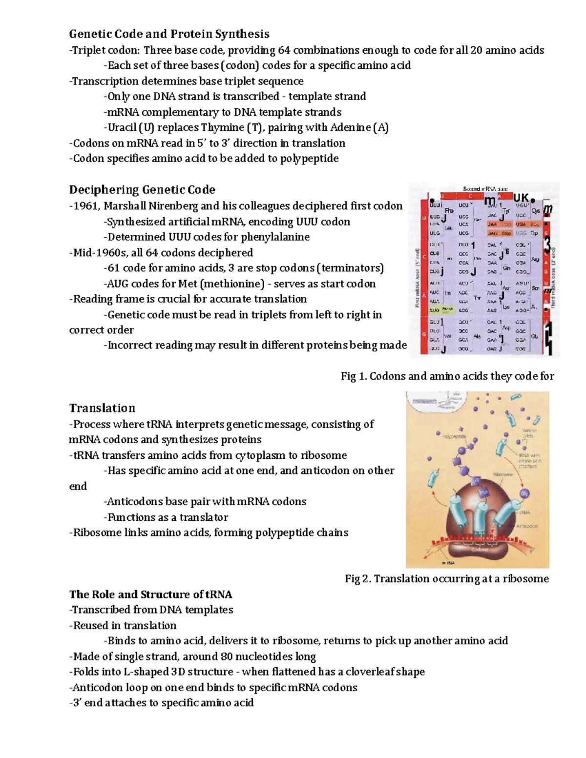A - Translation and Mutations: Genetic Code Insights (Pg 306-308, 313 ...