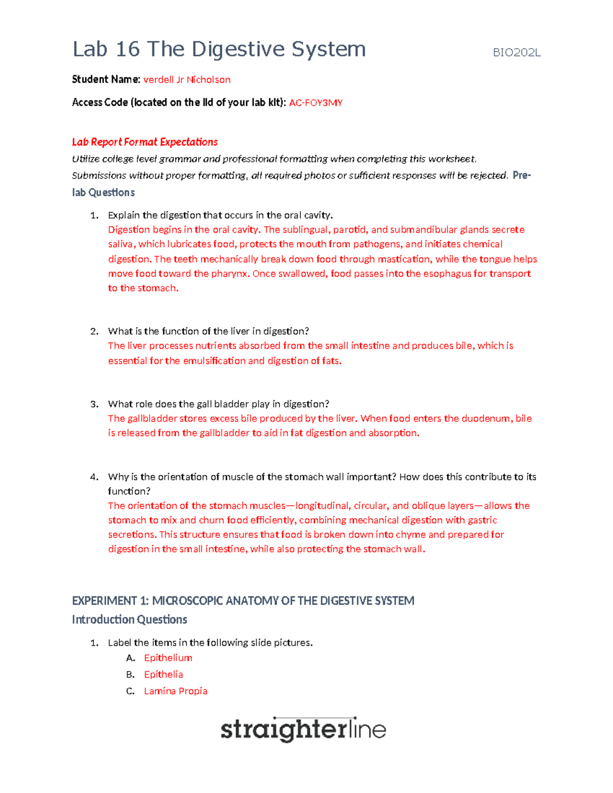BIO202L Lab 16: The Digestive System Report and Observations - Studocu