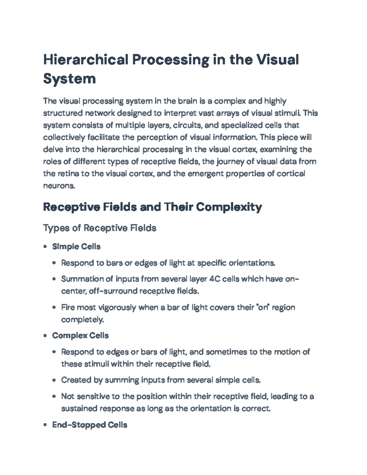 Hierarchical Processing in the Visual System: A Comprehensive Overview ...