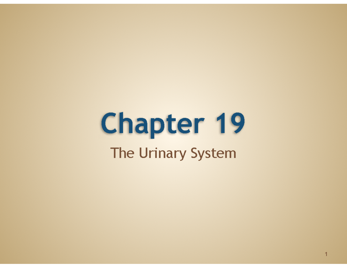Chapter 19: The Urinary System - Pathology, Diagnosis & Treatment - Studocu