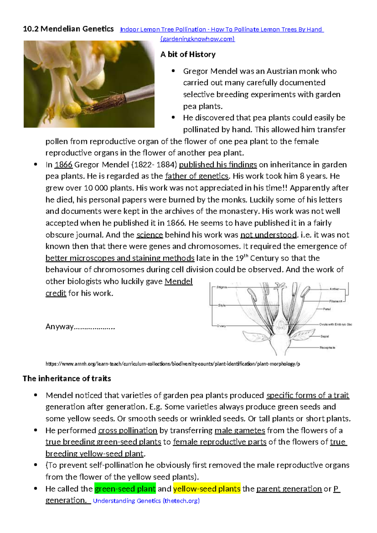 Mendelian Genetics: Understanding Pea Plant Traits and Inheritance ...