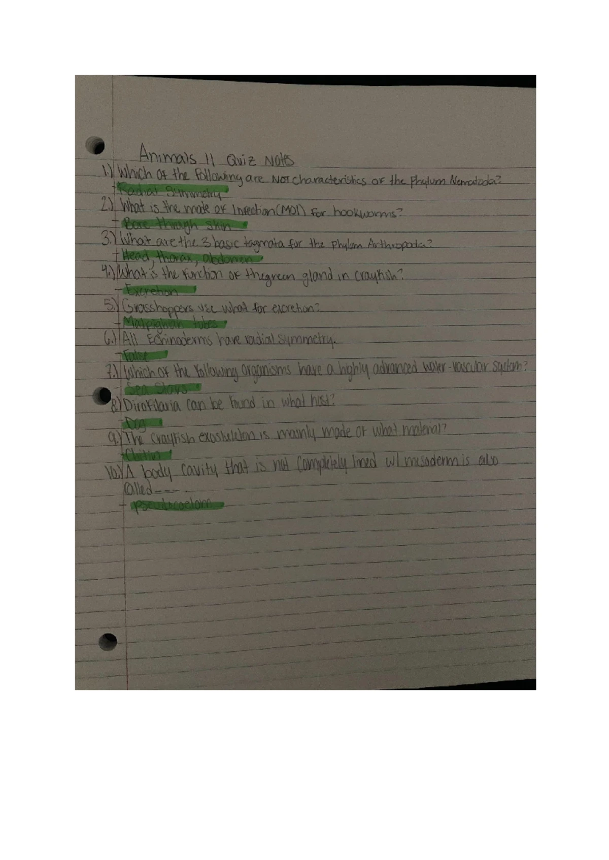 Animal Diversity I Worksheet - BSC1011L Lab Worksheet Animal Diversity ...