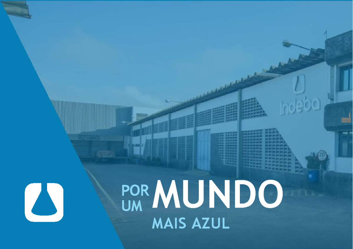 Apresentação Indeba: 59 Anos de Inovação e Qualidade no Mercado - Studocu