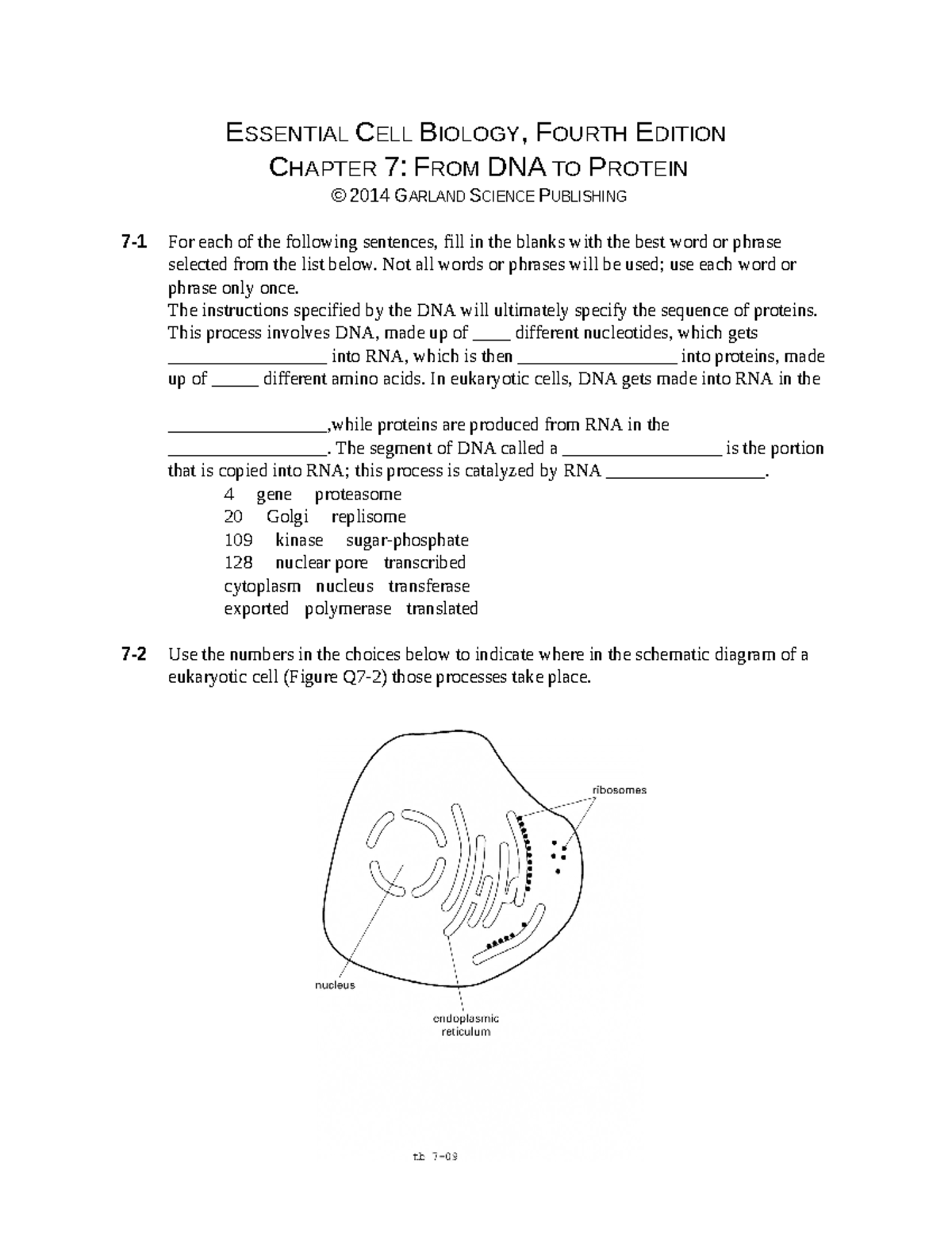 ECB4 Ch0707 - Exam Practice Questions on DNA to Protein Translation ...