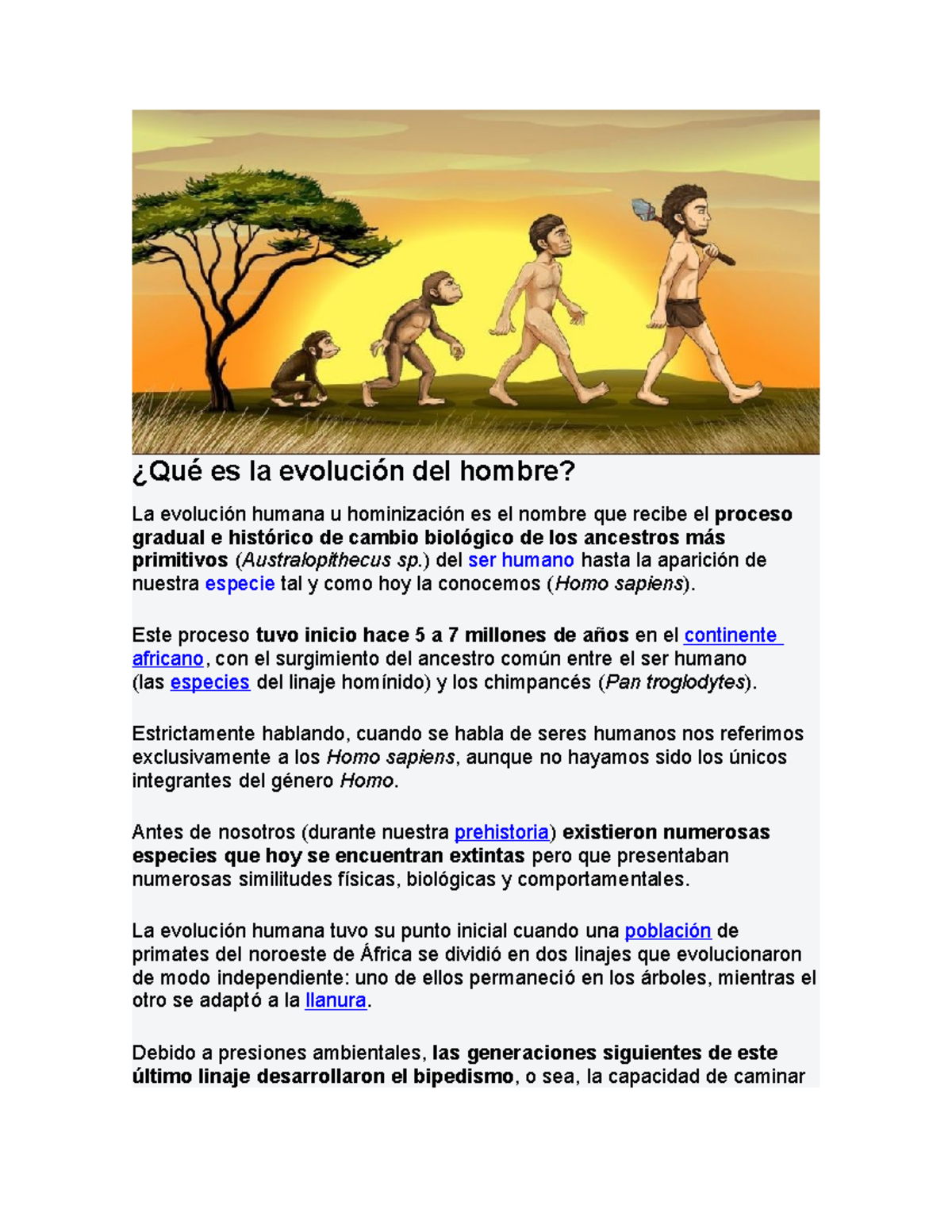 Cronología De La Evolución Del Hombre