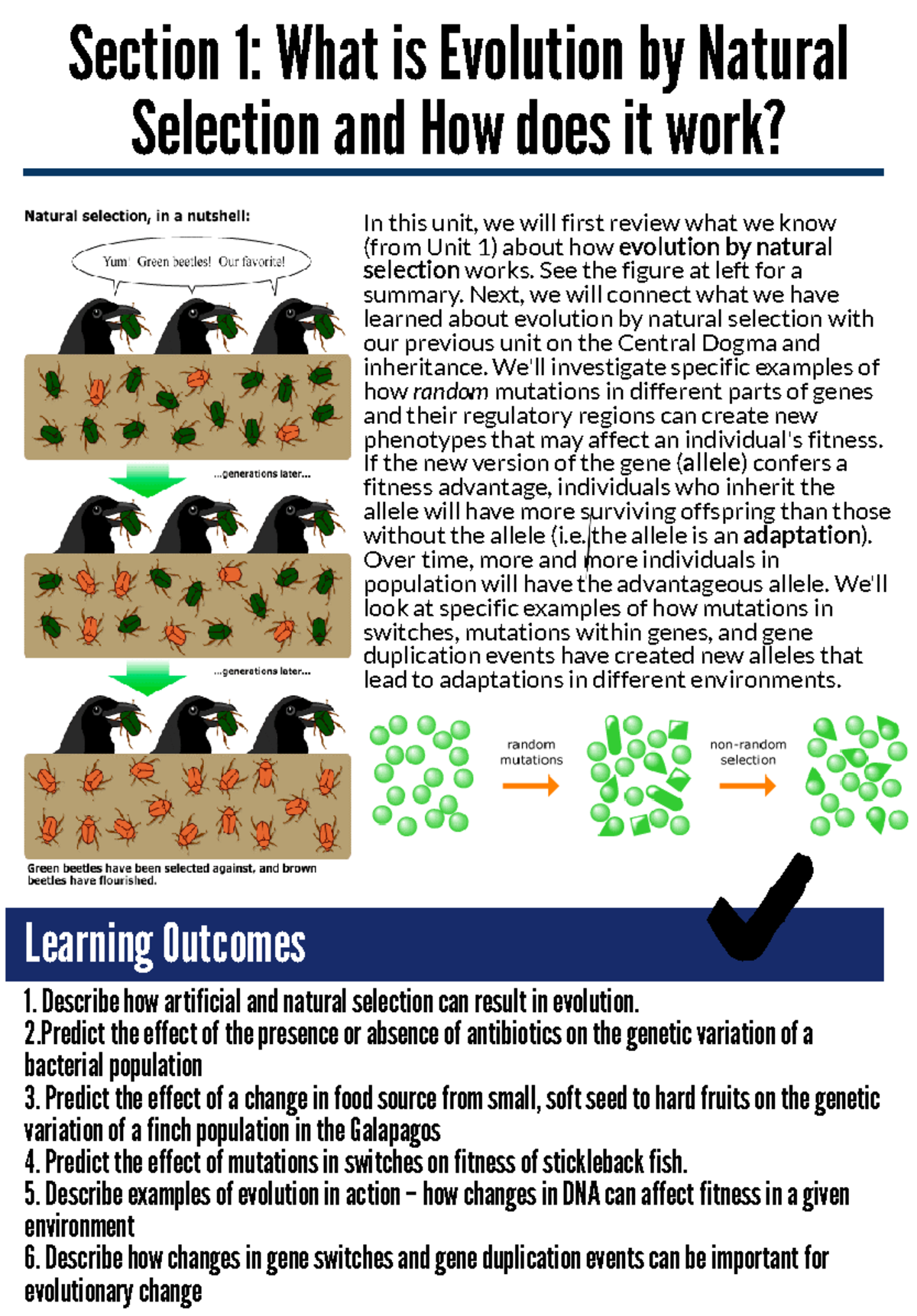 Section+1 unit 4 - Lecture Notes - Section 1: What is Evolution by ...