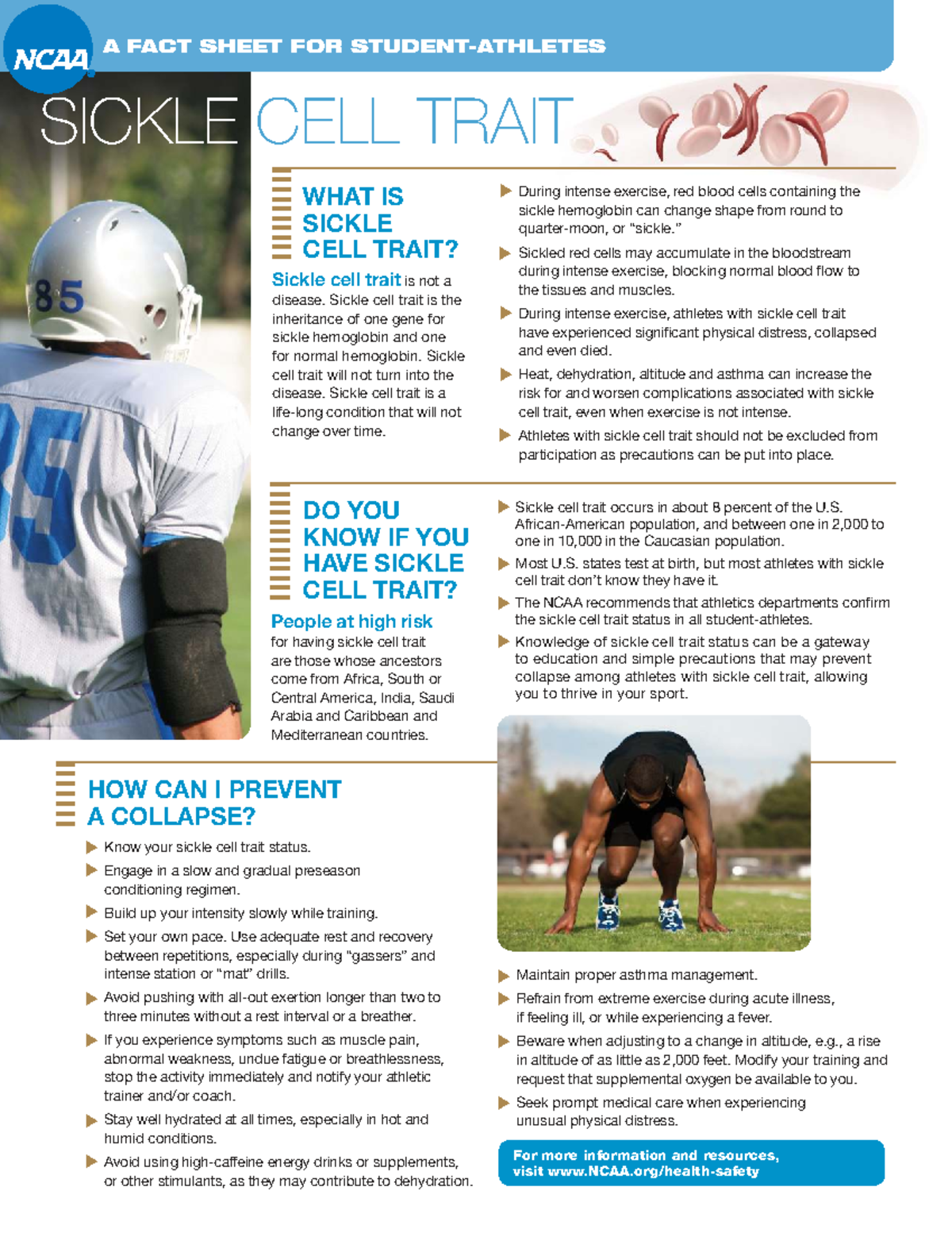 Sickle Cell Trait Info Sheet: Understanding Risks & Precautions - Studocu