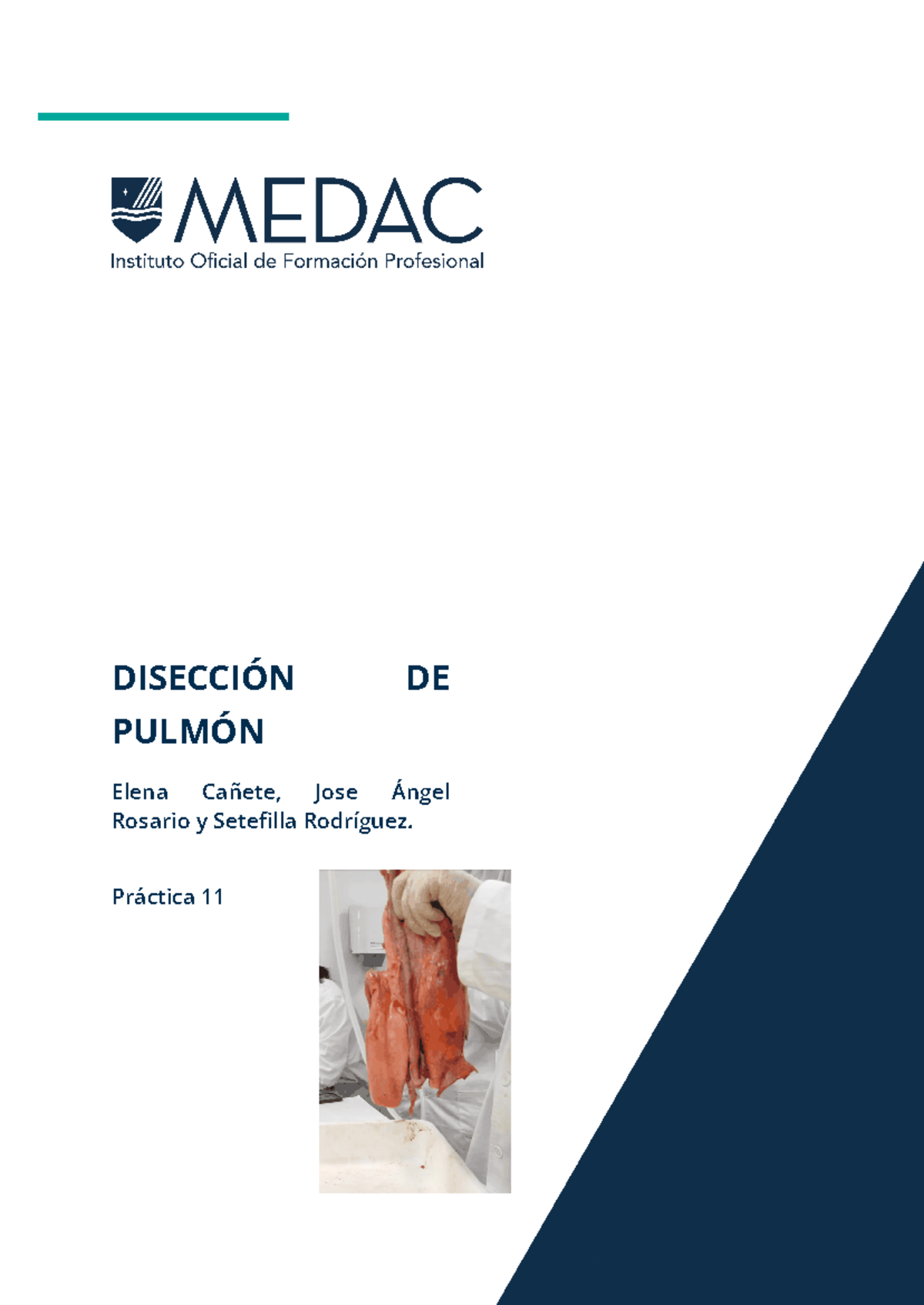 Anatomía Biología Estudiantes Kit De Disección QOJJ - 22 Piezas De Acero Inoxidable, Para Laboratorio De Biología Y Estudiantes Herramientas Laboratorio Estudiantes