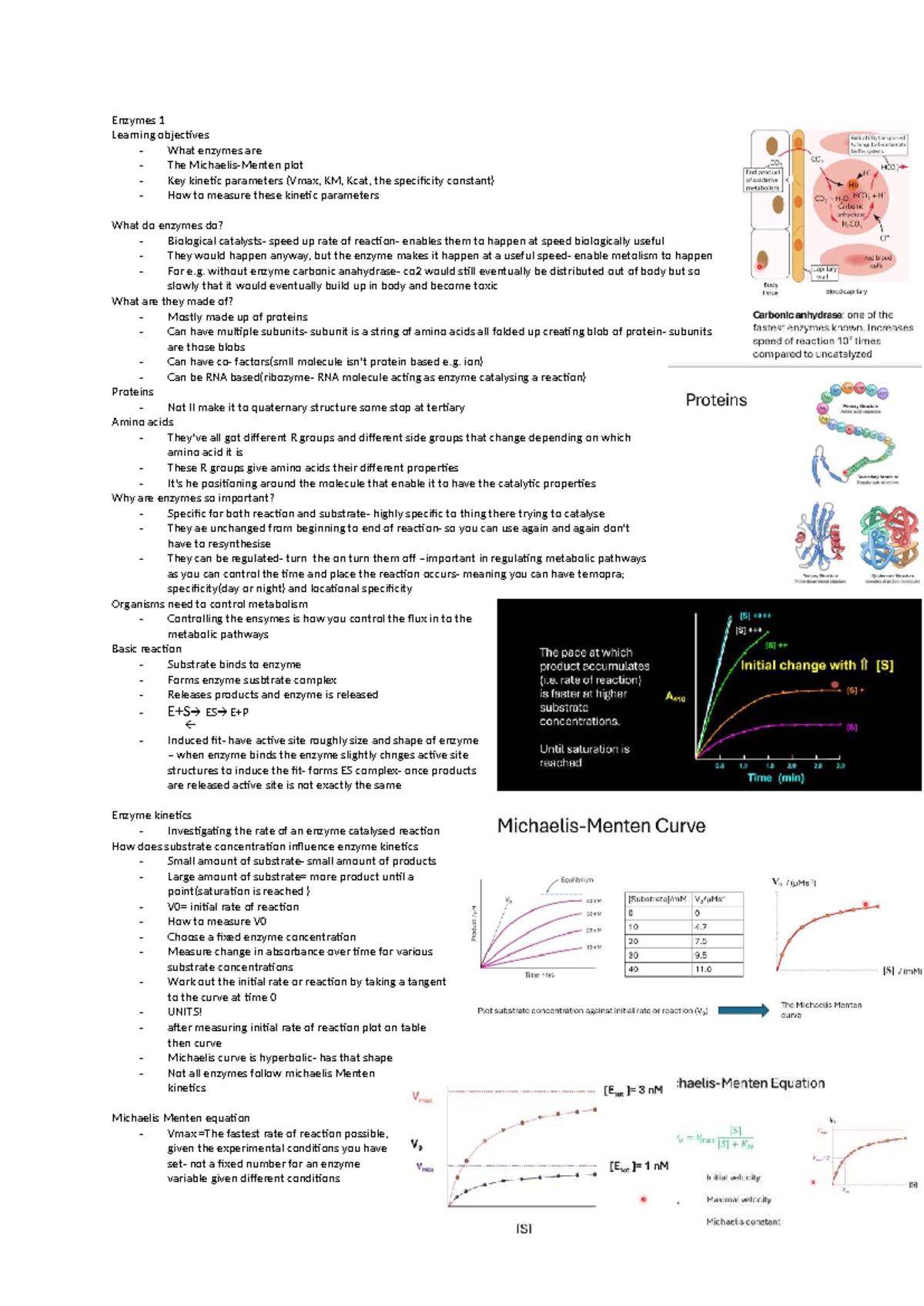 Enzymes 1: Key Concepts and Kinetic Parameters Overview - Studocu