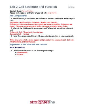 CHEM101L+Lab+3 - This lab covers data analysis and graphing - Student ...