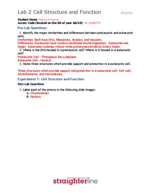 BIO201 Lab 6: Functions of the Skeletal System and Bone Classification ...