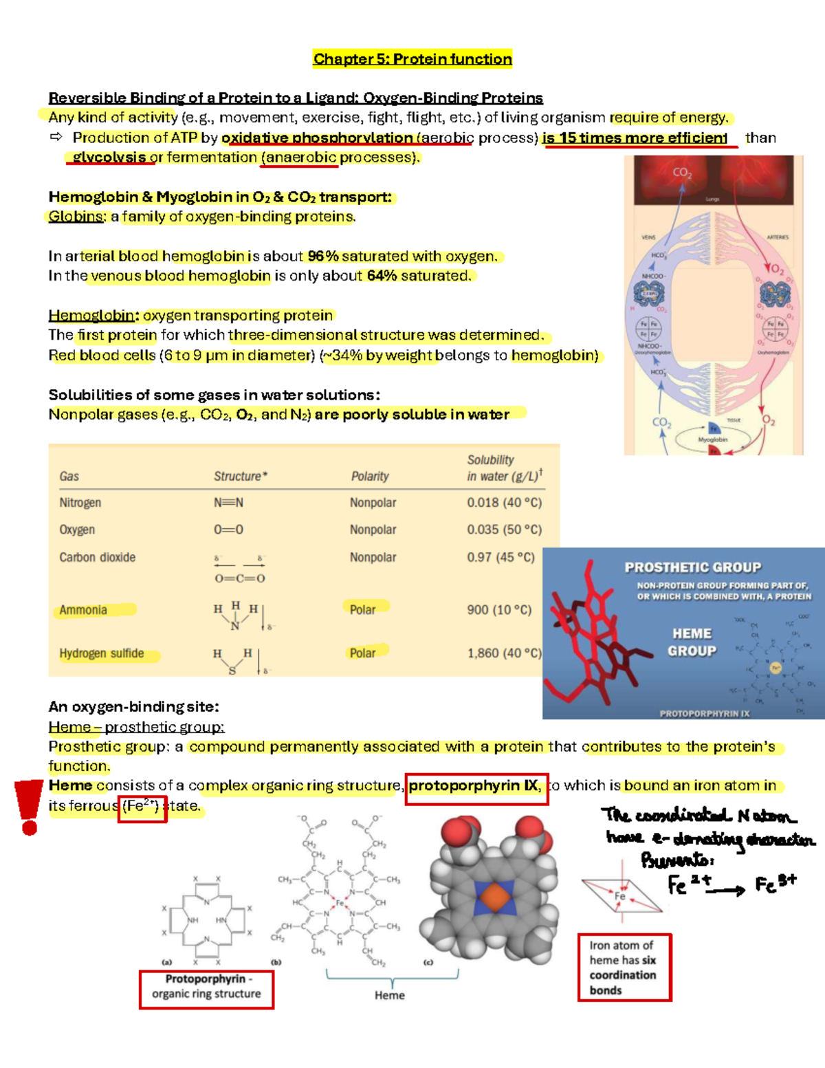 Chapter 5: Reversible Binding of Oxygen by Hemoglobin & Myoglobin - Studocu