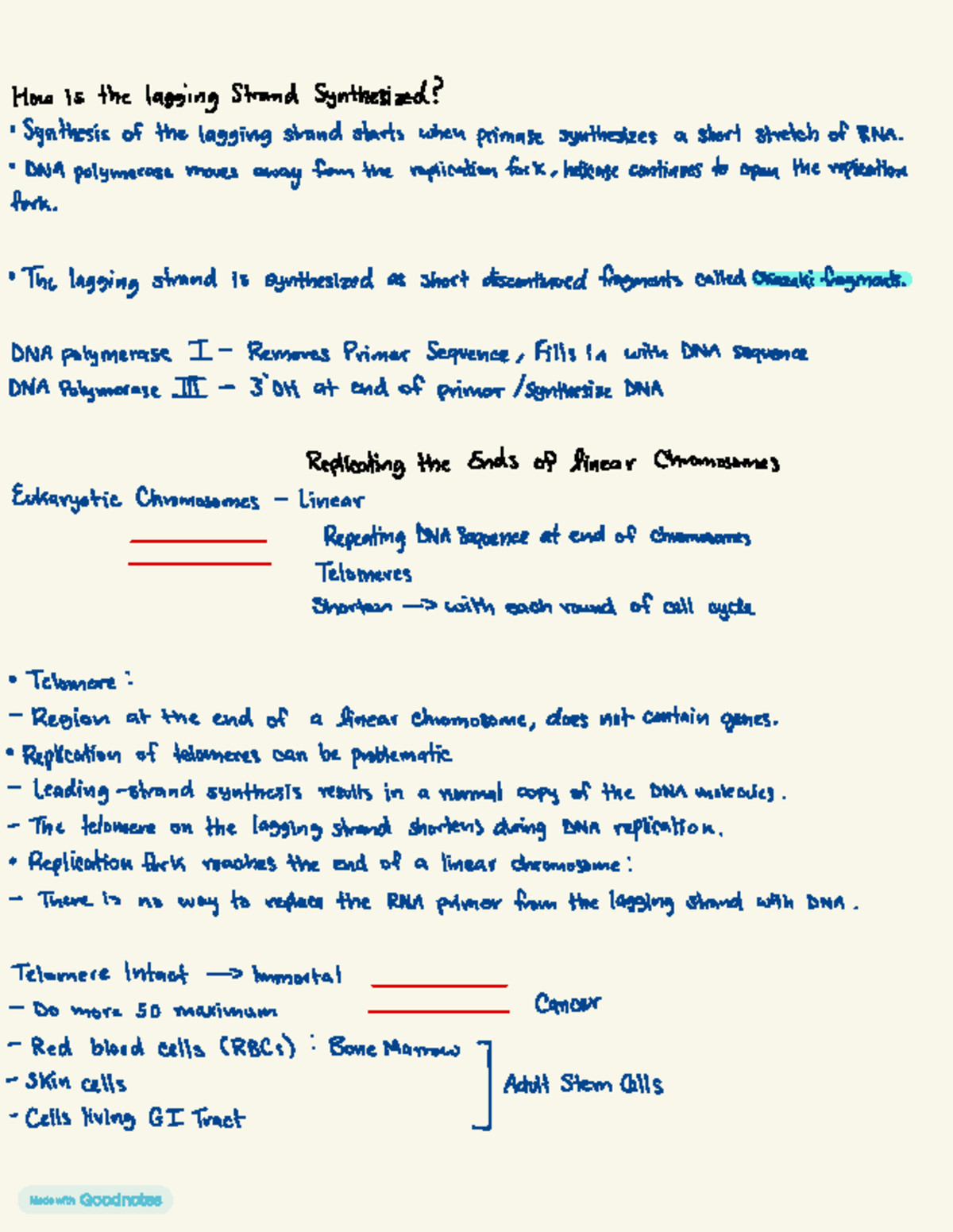 Bio 4 - Chapter 16: Synthesis of the Lagging Strand in DNA Replication ...