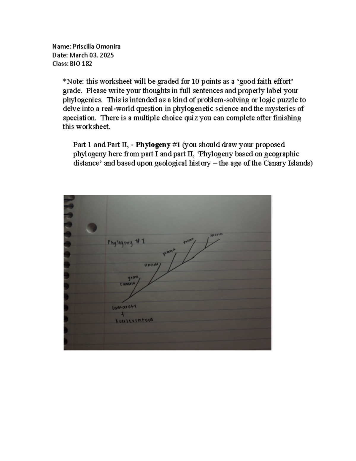 Island Biogeography worksheet-1 - Name: Priscilla Omonira Date: March ...