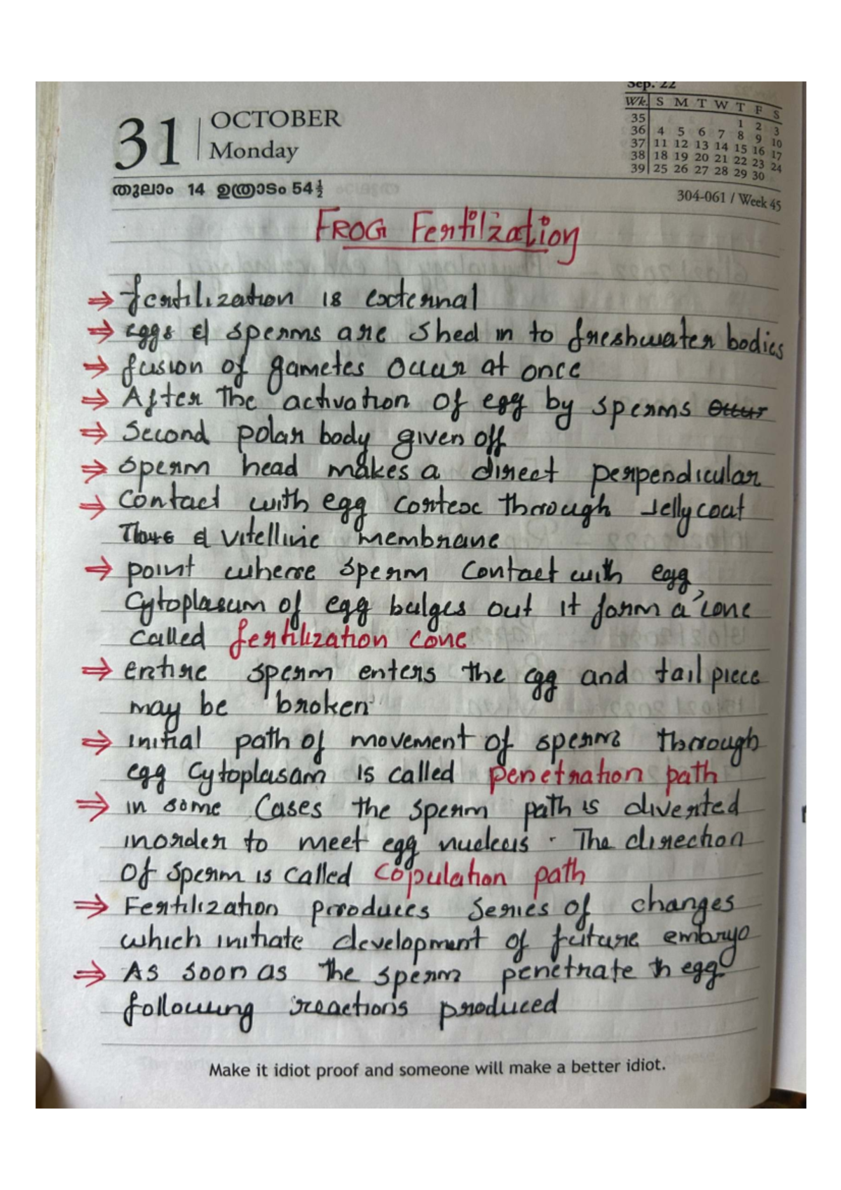 Development of Frog: Text Overview for Biology 101 - Studocu