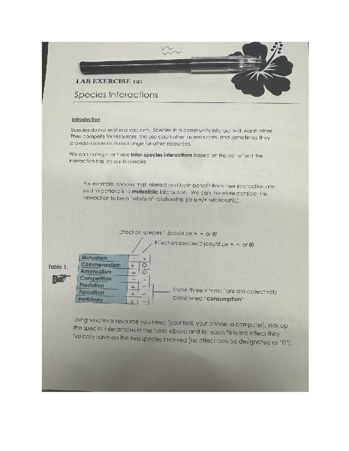 Lab Exercise 12 - [Course Code] - Studocu