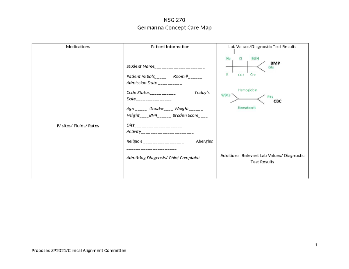 NSG 270 Germanna Concept Care Map: Patient Info & Assessment Details ...