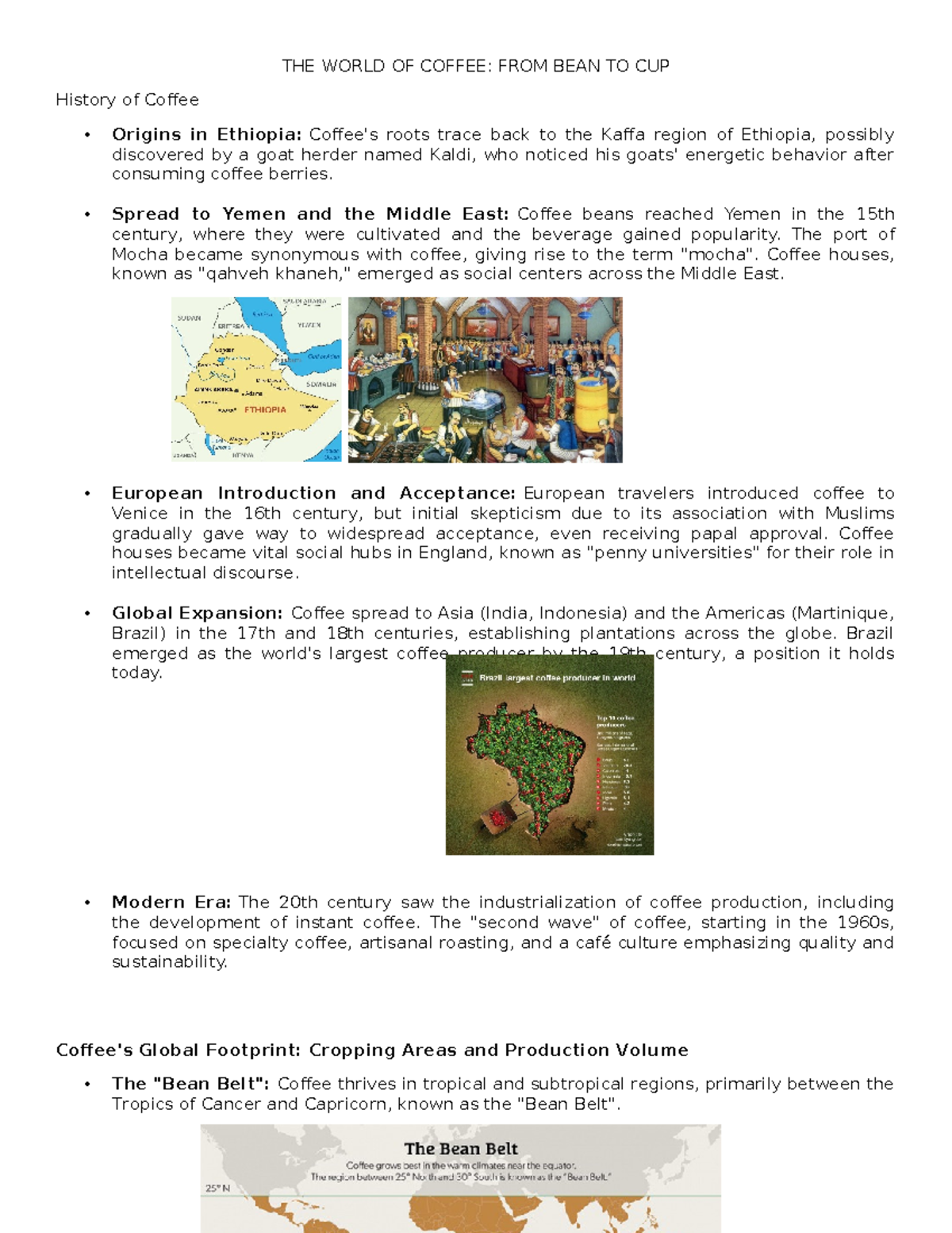 Coffee: From Bean to Cup - A Comprehensive Study on Its History and ...