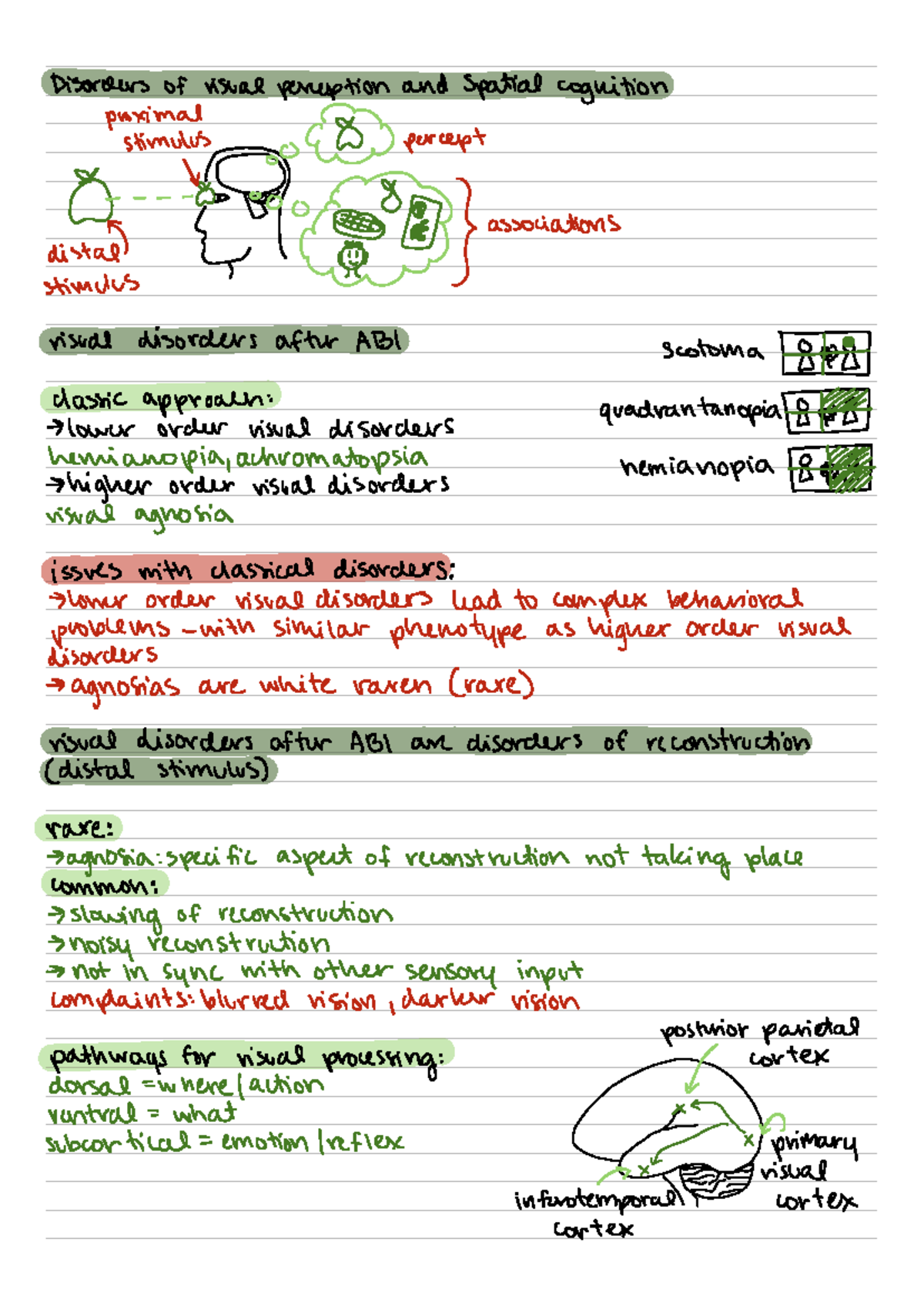 Clinical Neuropsychology A131: Visual Perception Disorders and ...