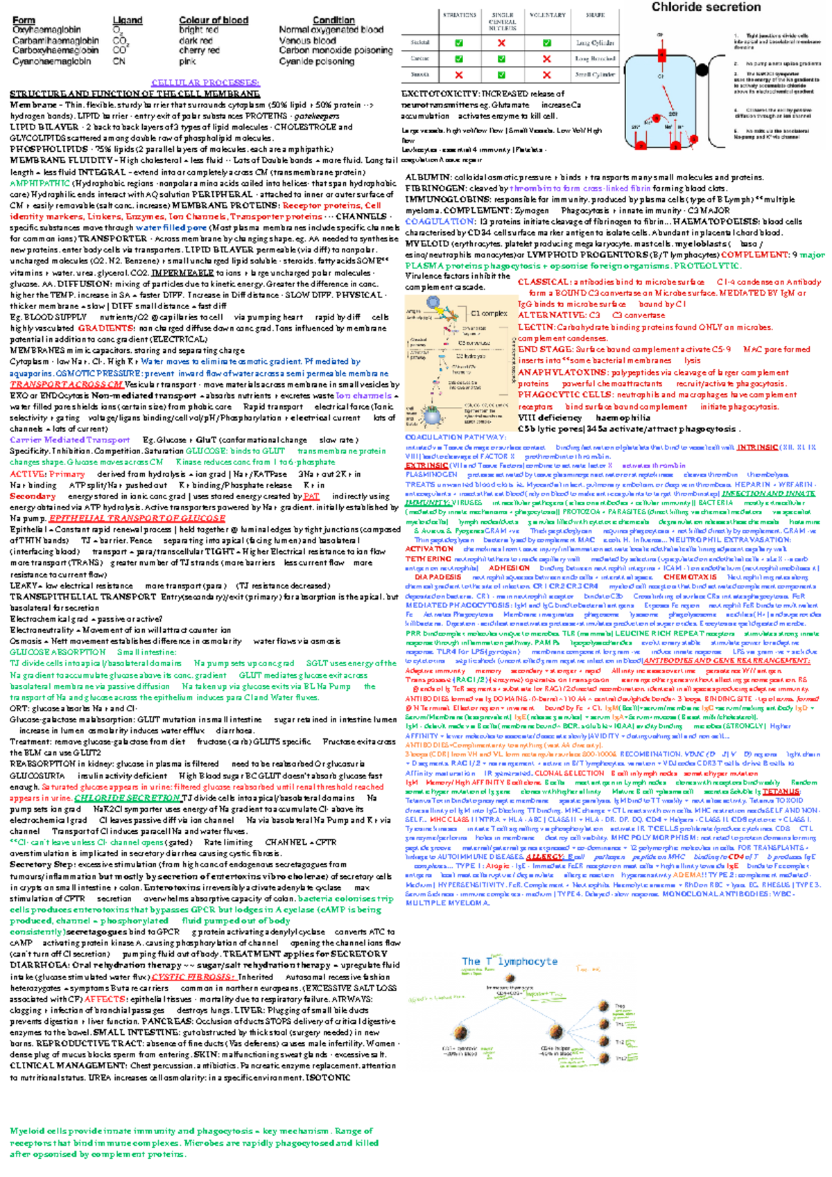 Biosci 107 Final Exam Cellular Processes Review Cheat Sheet - Studocu