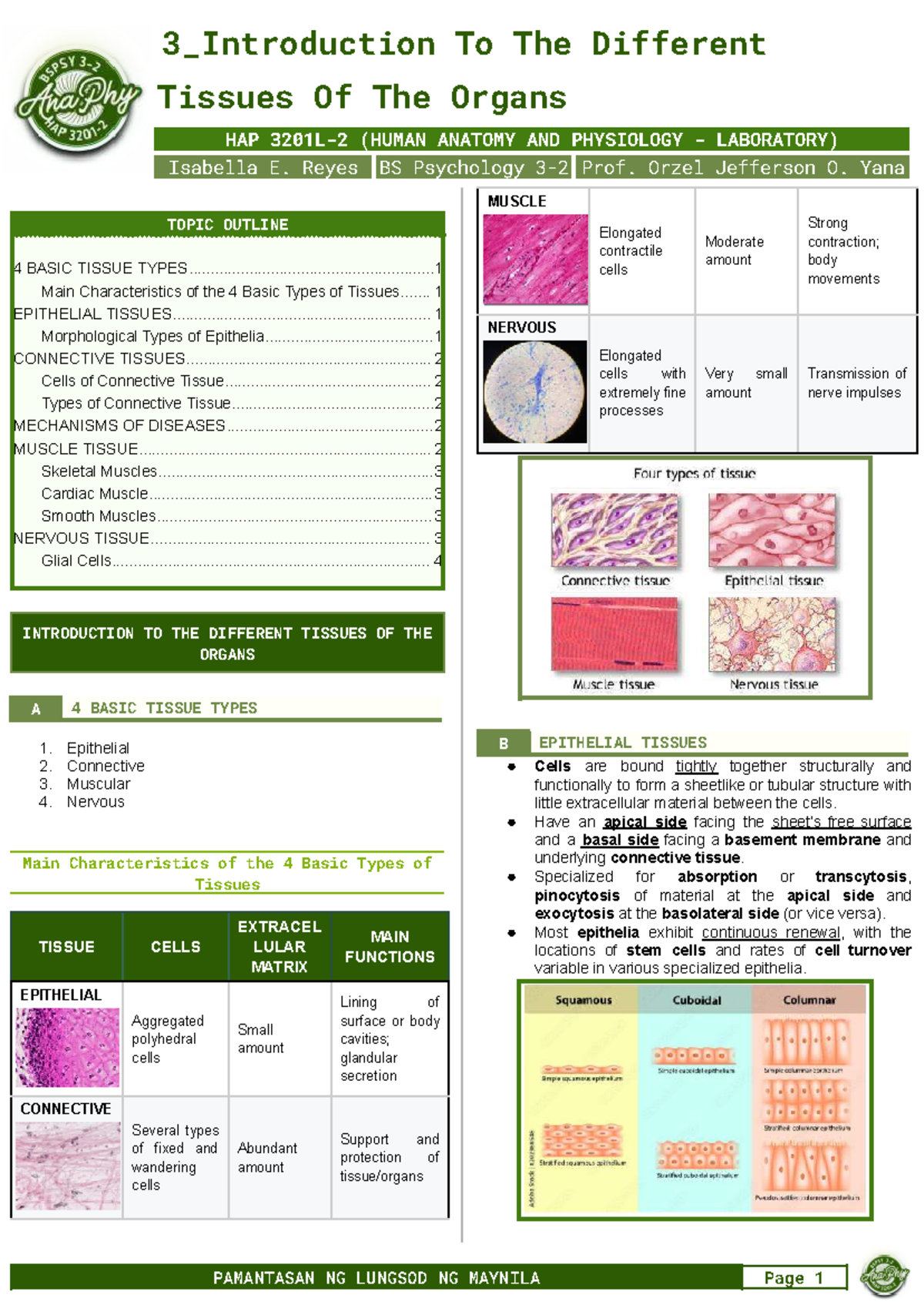3 Introduction To The Different Tissues - Tissues Of The Organs HAP ...