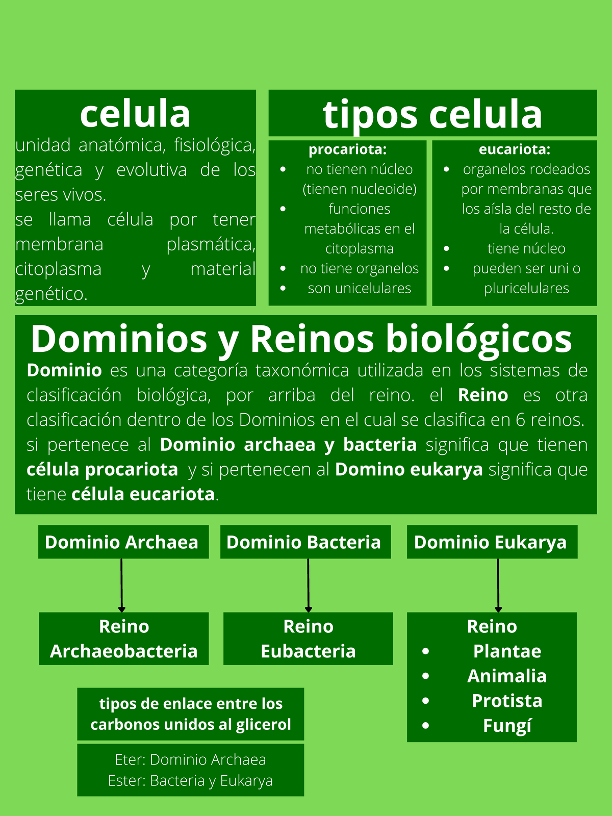 Repaso de Arqueas, Bacterias y Protistas: Estructura y Clasificación -  Studocu